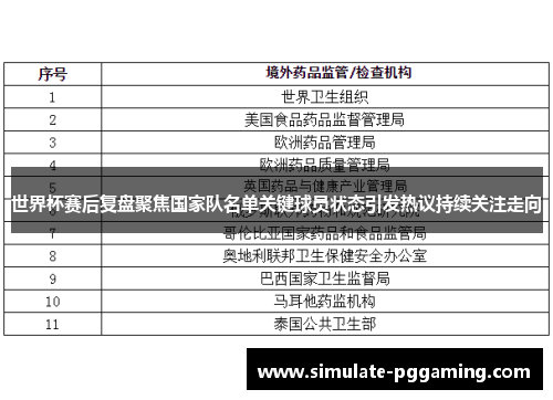 世界杯赛后复盘聚焦国家队名单关键球员状态引发热议持续关注走向